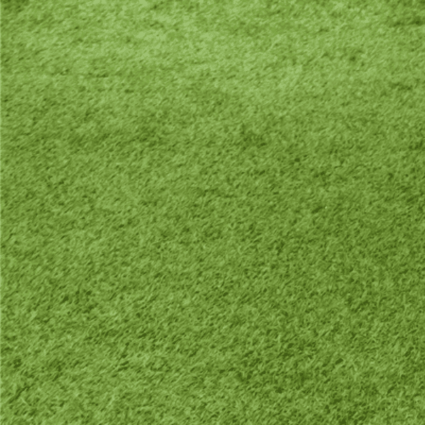 Artificial Lawns